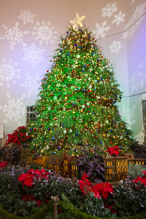 United States Botanic Garden's Christmas Tree