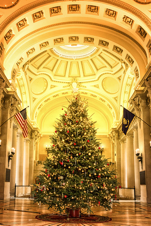 This is one of my favorite trees. This beautiful tree is in Bancroft Hall at the United States Naval Academy.