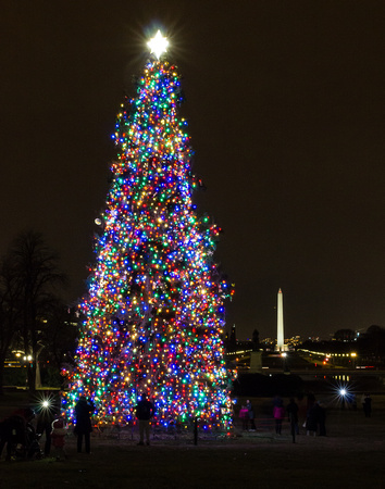 The People's Tree at the United States Capitol 2014