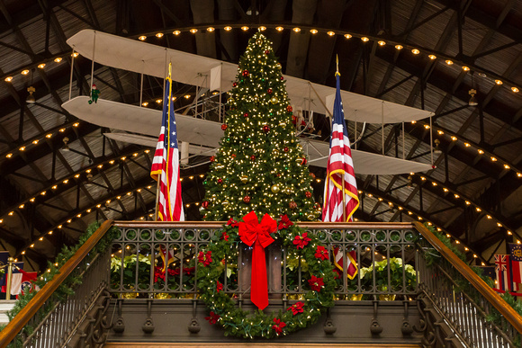 This tree is in Dahlgren Hall, also located at the United States Naval Academy.