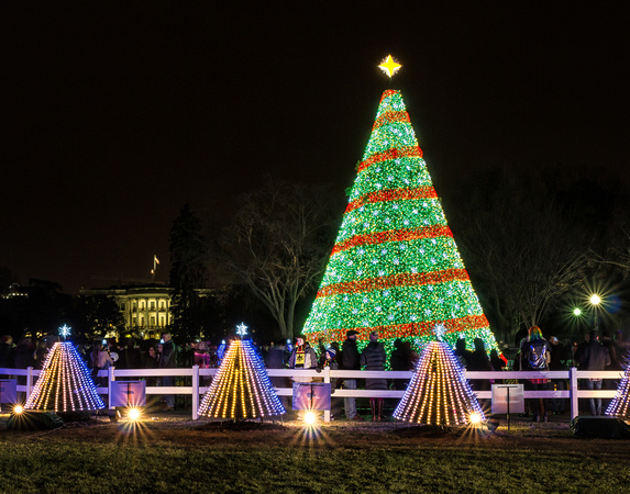 National Christmas Tree 2014