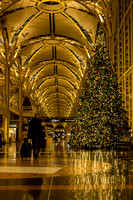 This Christmas tree inspired me to find more beautiful trees in and around the Washington, D.C. area. Throughout the month of December I found 20 gorgeous trees that I wanted to share with you. This g
