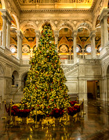 Another photo of the Christmas tree in the Library of Congress.