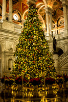 This Christmas tree sits in the Library of Congress. The Library of Congress is an amazing building. The staff did a great job with their tree.