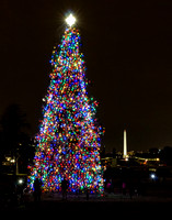 The People's Tree at the United States Capitol 2014